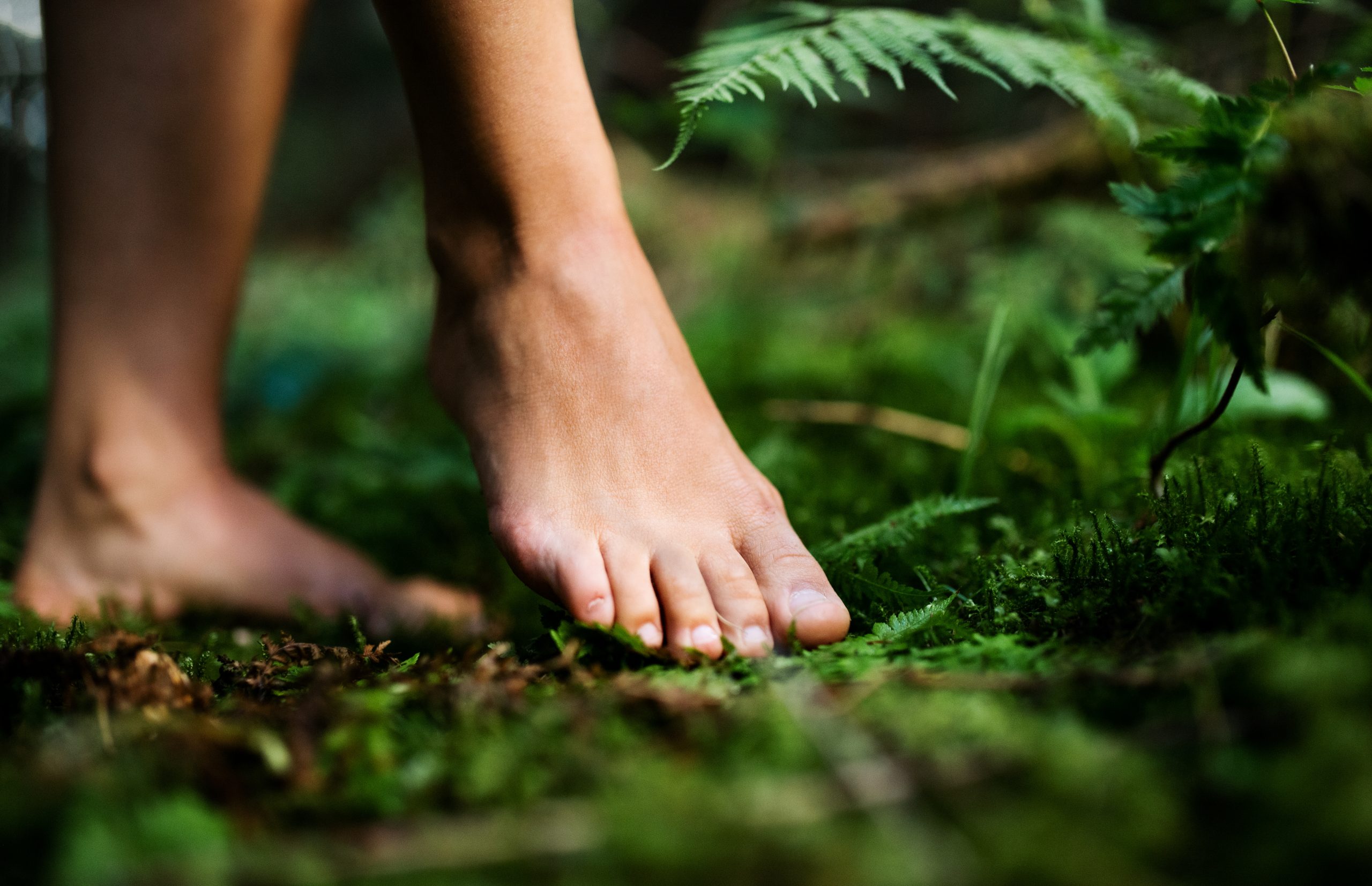 Bare feet of woman standing barefoot outdoors in nature, grounding and forest bathing concept.